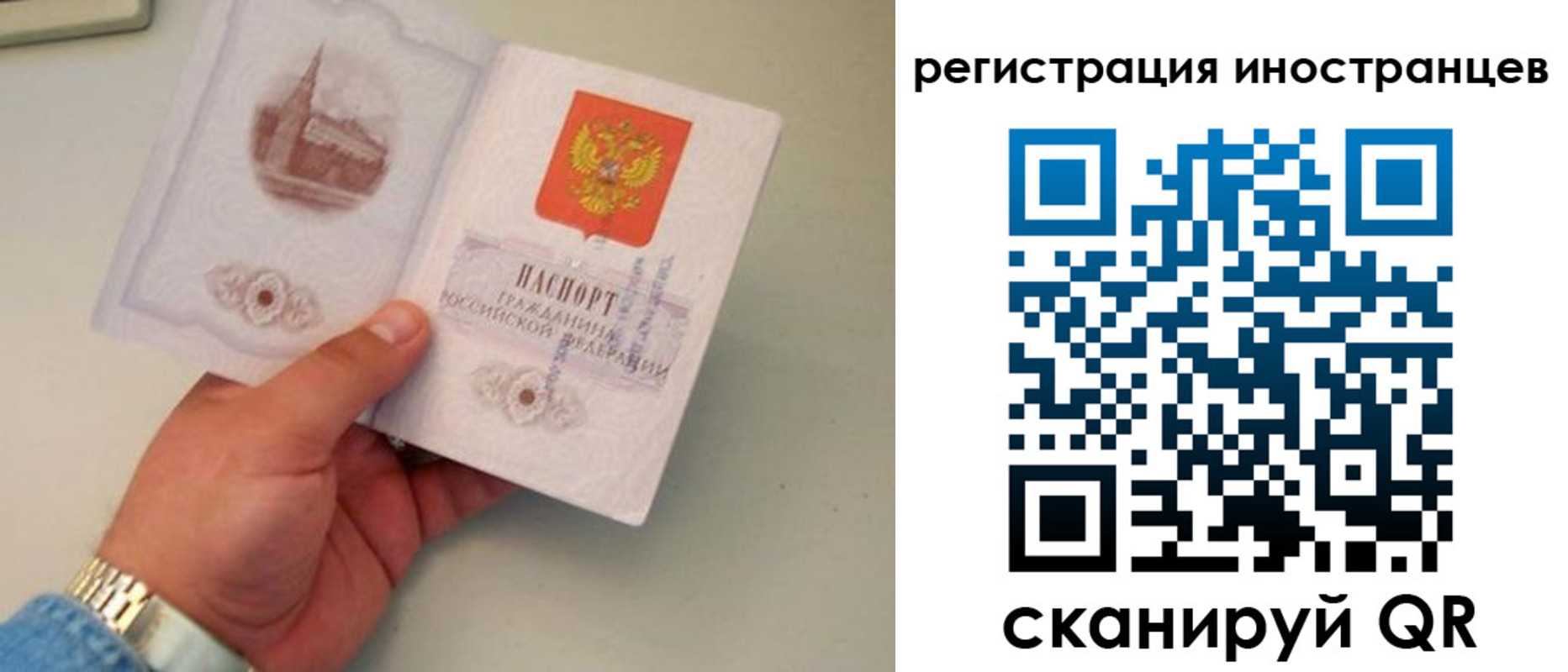 регистрация для школы в Фрязино